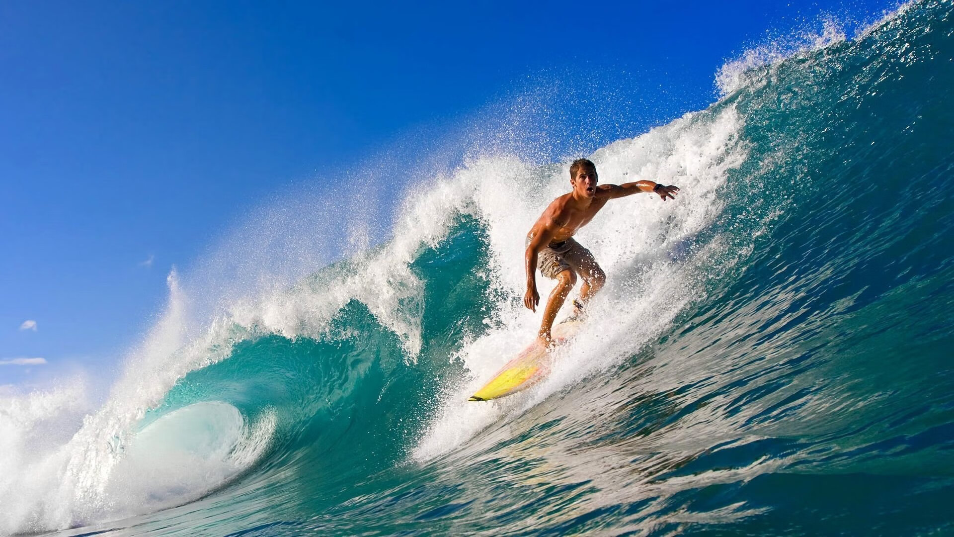 奇库诺娃冲刺阶段展现王者气质,库奇娜百度百科